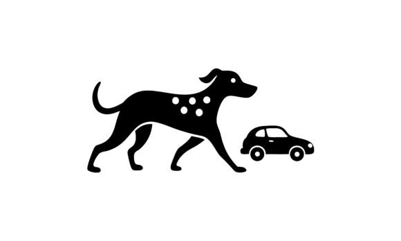 Dalmatian Dog Walking with a Car