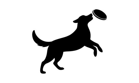 Dog Jumping for a Flying Disc
