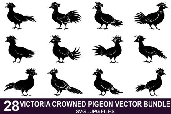 Victoria Crowned Pigeon Vector Bundle Review
